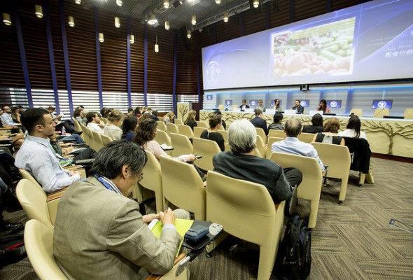 Right to Food and Nutrition Watch launched in Rome