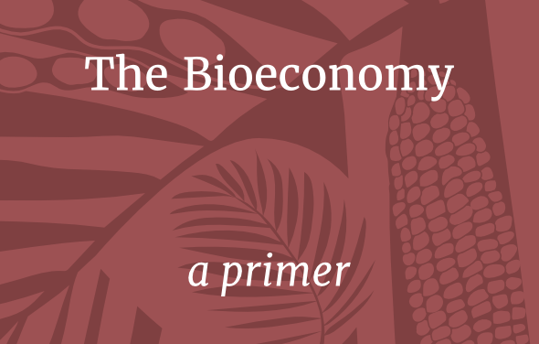 New Hands on the Land Publication on Bioeconomy