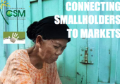 Connecting smallholders to markets