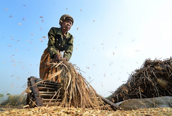 Keeping Seeds in Peoples’ Hands – Launch of the Right to Food and Nutrition Watch