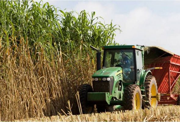 Publication: Bioenergy in the EU