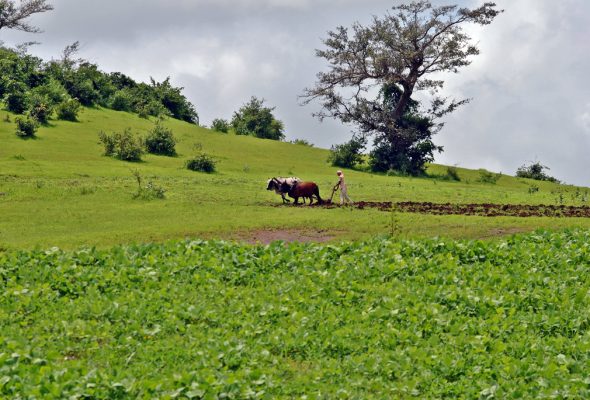 Food Sovereignty more necessary than ever in wake of rising Nationalism and Xenophobia
