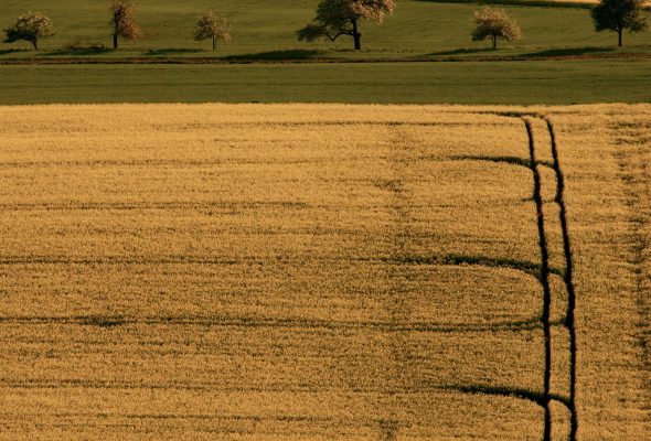 Time to change Europe’s land policy