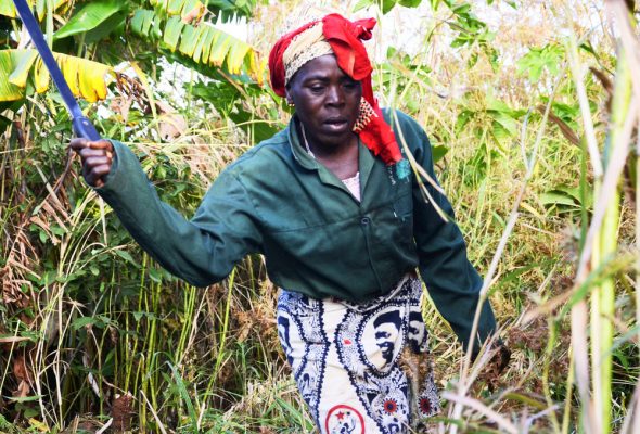Land grabbing abroad is an EU human rights issue