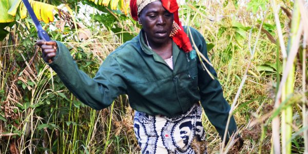 Land grabbing abroad is an EU human rights issue